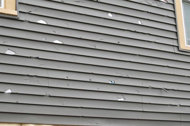 Best Insulated Siding Installation  in Gower, MO