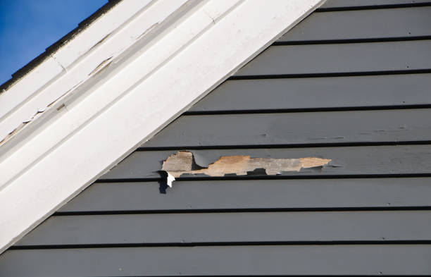 Best Siding Repair  in Gower, MO